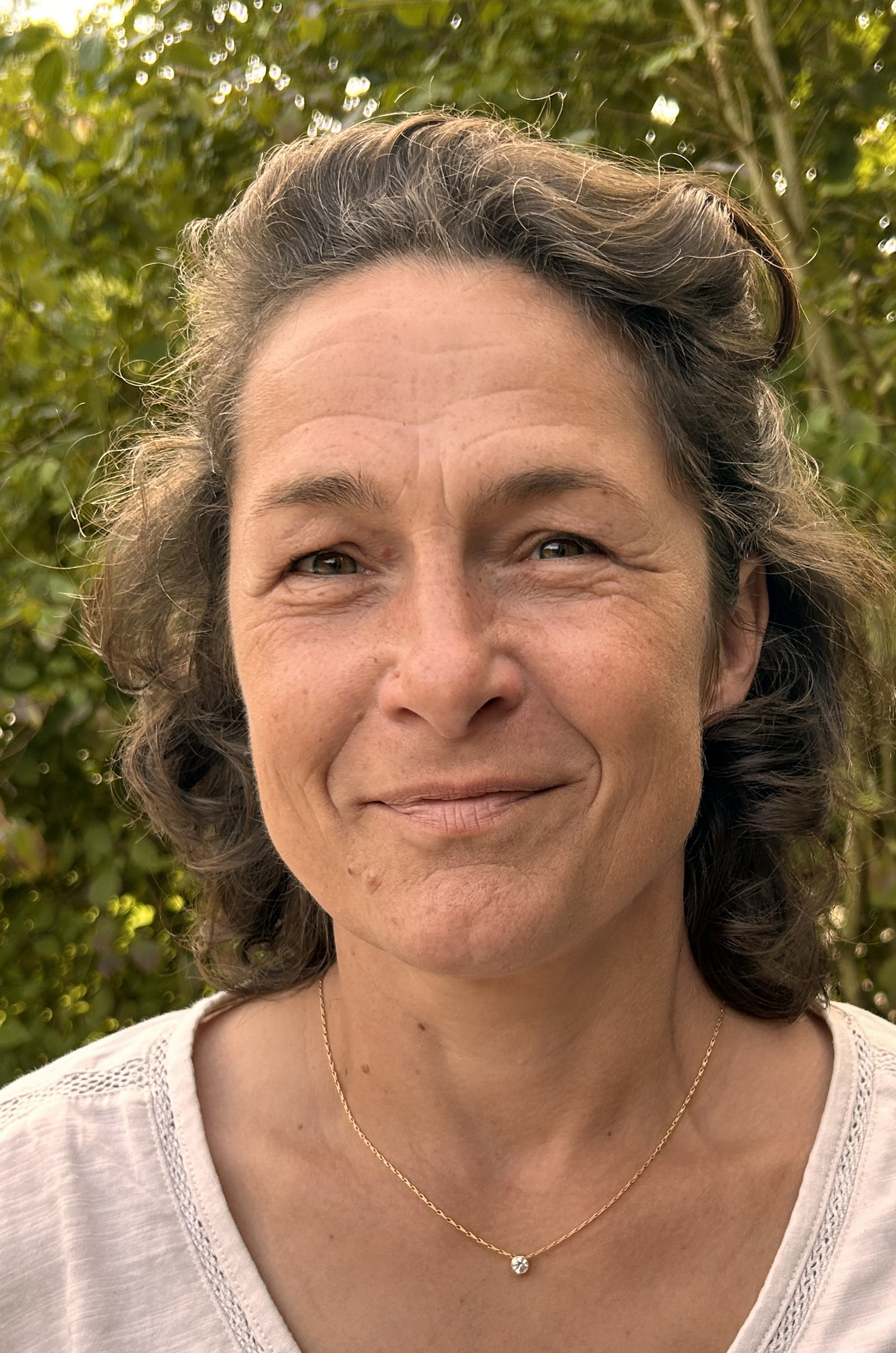 A. Bayer