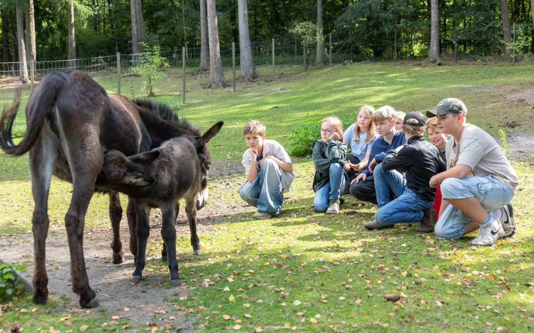 Presse: Club Wildpark