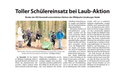 Presse: Toller Schülereinsatz bei Laub-Aktion, Wochenblatt